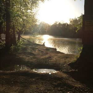 Meet your Posher, Tressa